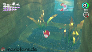 Seaside Kingdom – Power Moon 10 – screenshot 1