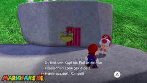 Mushroom Kingdom – Power Moon 27 – screenshot 1