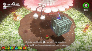 Mushroom Kingdom – Power Moon 34 – screenshot 4