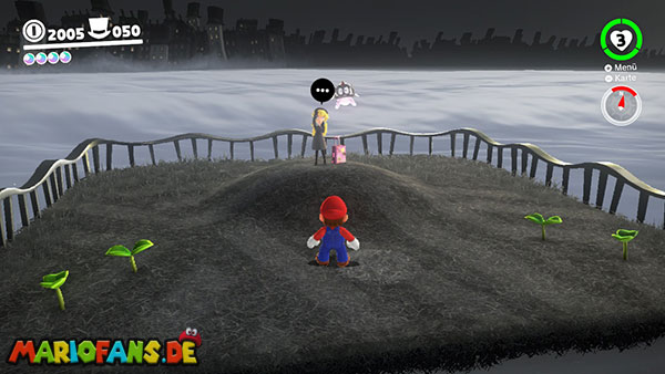 Princess Peach Locations