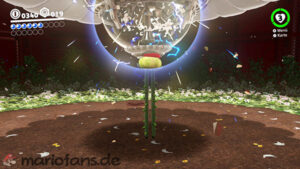 Wooded Kingdom – Power Moon 4 – screenshot 4