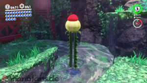 Wooded Kingdom – Power Moon 14 – screenshot 1