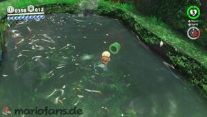 Super Mario Odyssey – Wooded Kingdom – screenshot 32