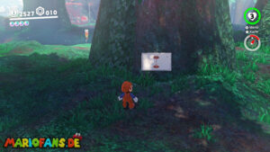 Wooded Kingdom – Power Moon 50 – screenshot 1