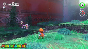 Wooded Kingdom – Power Moon 52 – screenshot 1