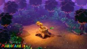 Super Mario RPG walkthrough screenshot