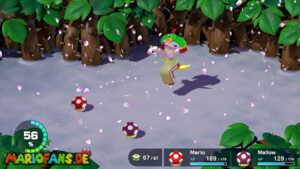 Super Mario RPG walkthrough screenshot