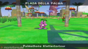 Pianta Village — Super Mario Sunshine walkthrough route
