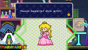 Flipside after Chapter 1 — Super Paper Mario walkthrough screenshot