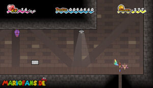 Chapter 2-4: The Basement Face-Off — Super Paper Mario walkthrough screenshot