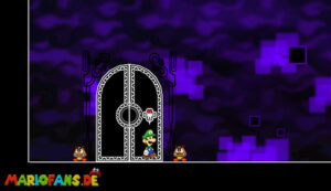 Flipside after Chapter 2 — Super Paper Mario walkthrough screenshot