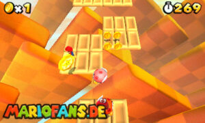 World 3 — Super Mario 3D Land walkthrough screenshot